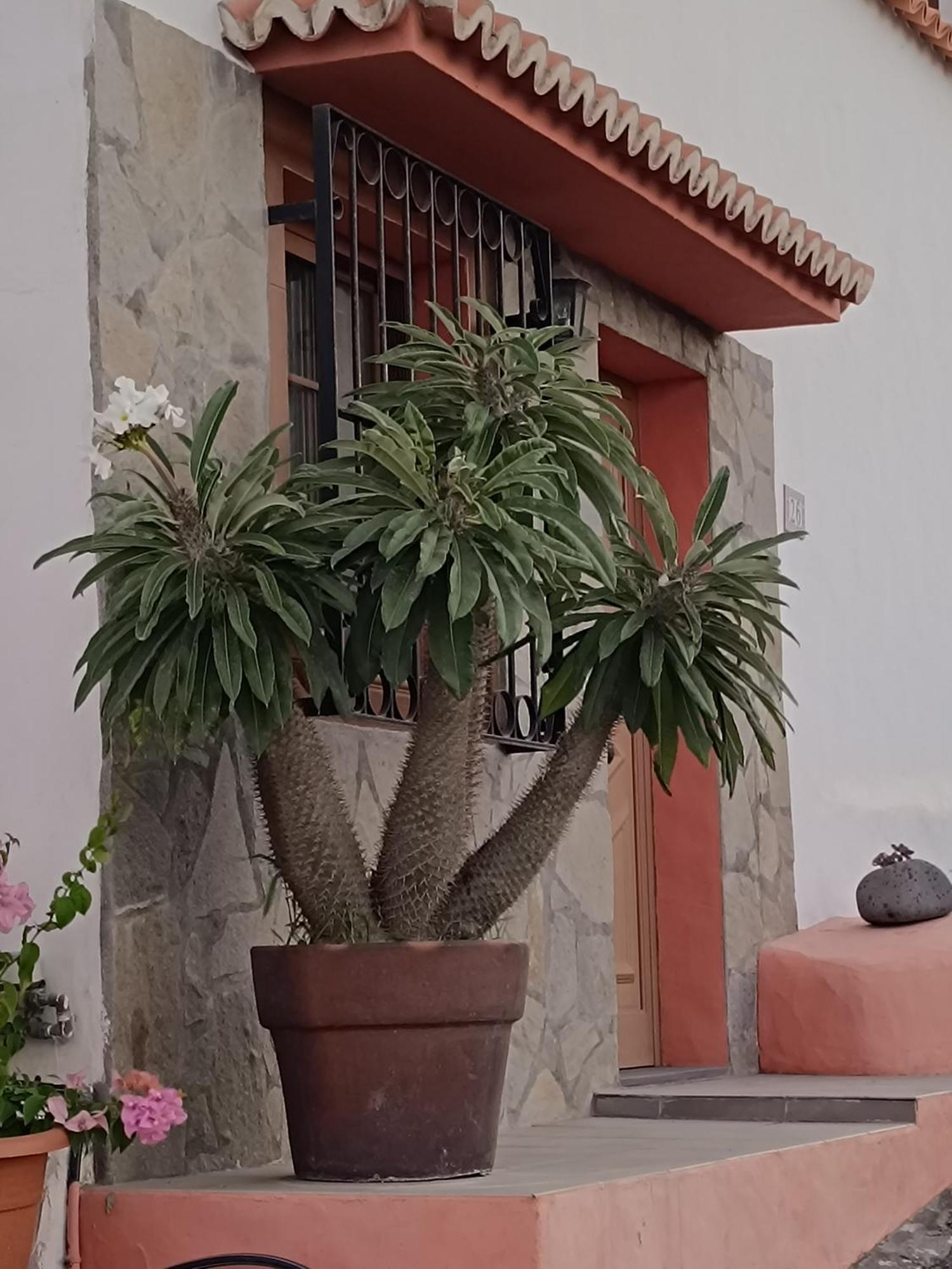 Holiday home Casa Acosta *